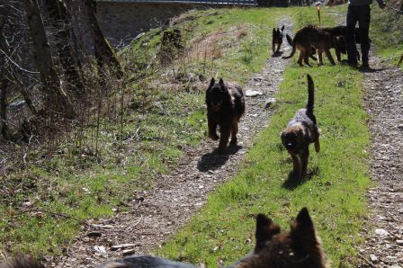 en promenade