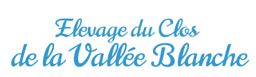 Clos De La Vallee Blanche Chien De Traineaux Isere Logo